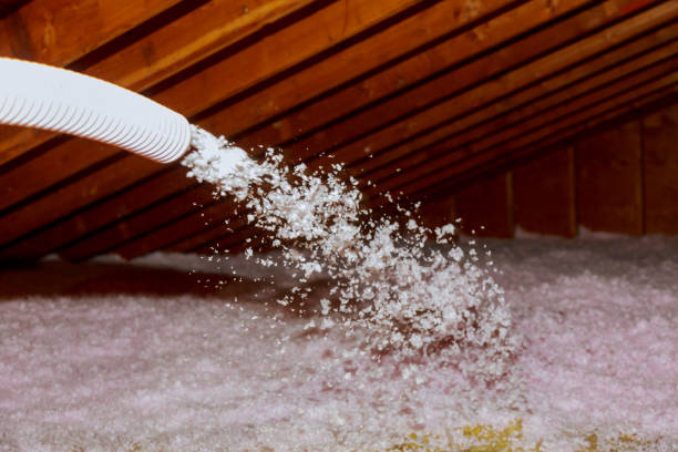 Best Insulation Maintenance and Repair in Harrisburg, IL